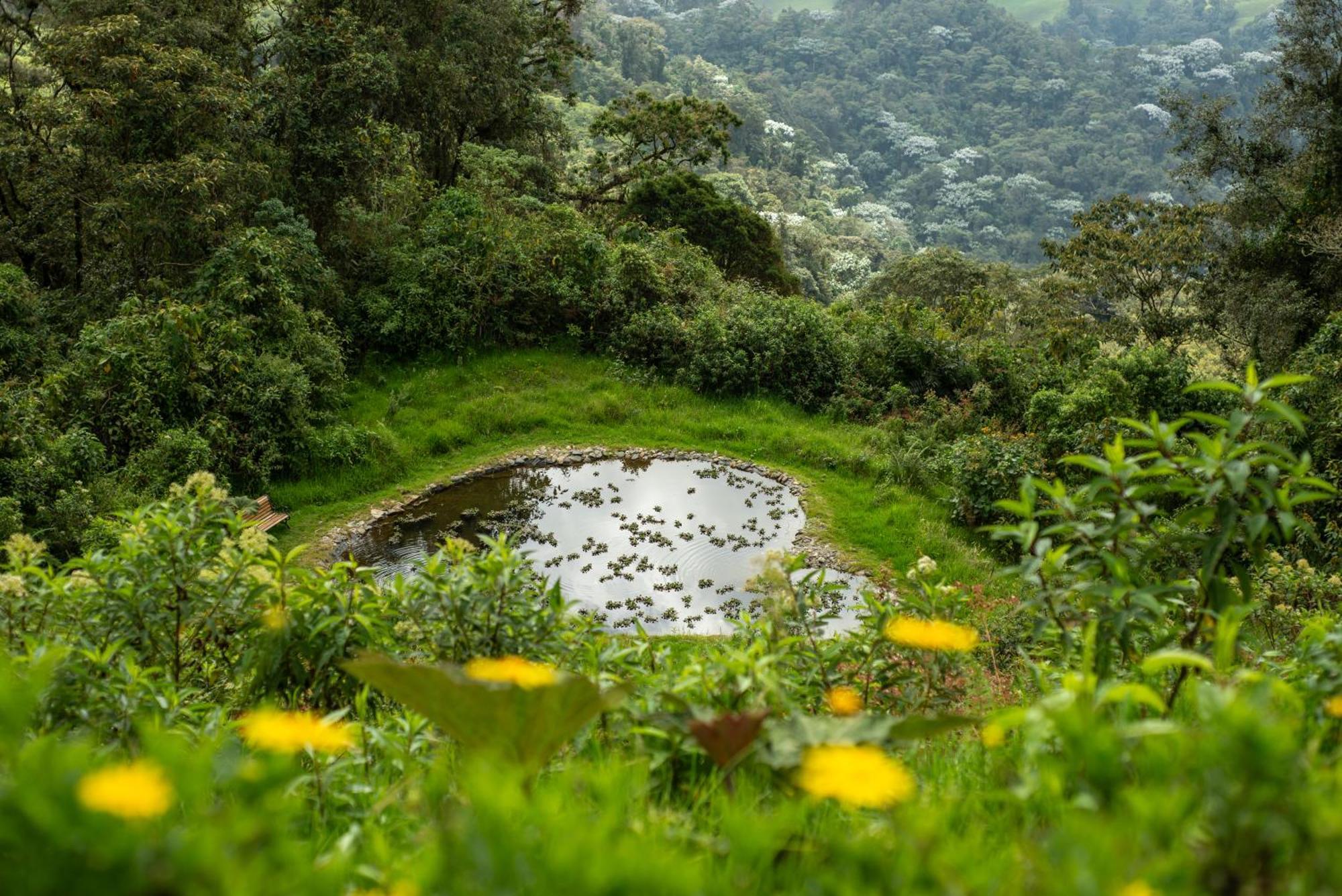 Owl'S Watch At Rio Blanco Villa Manizales Buitenkant foto