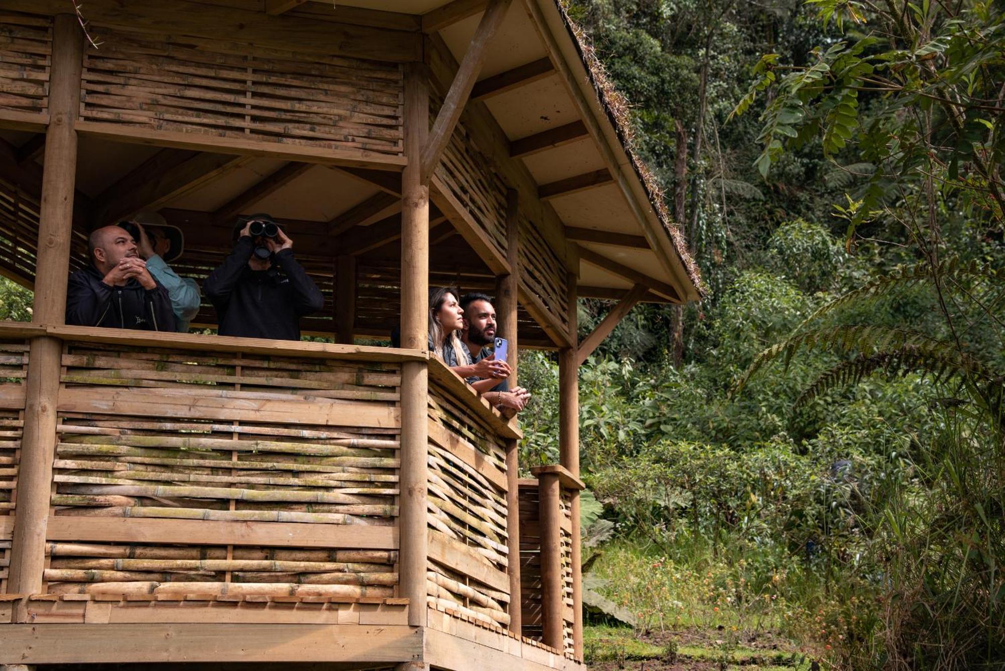 Owl'S Watch At Rio Blanco Villa Manizales Buitenkant foto